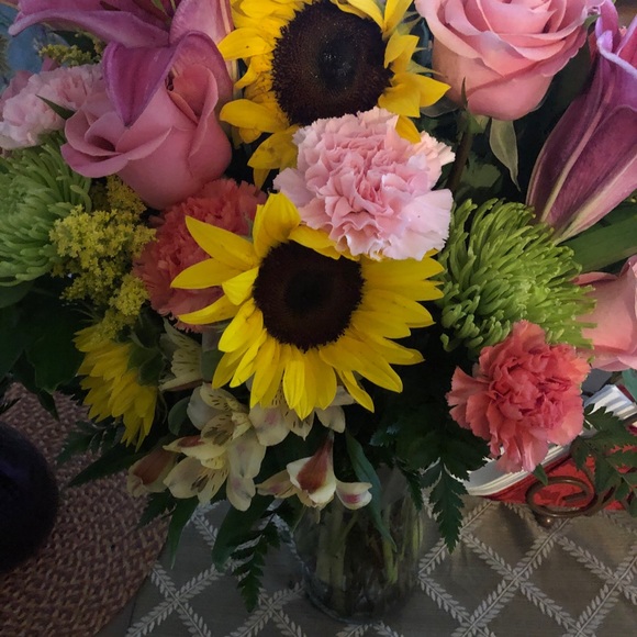 Meet your Posher, Gloria - Picture 14 of 15